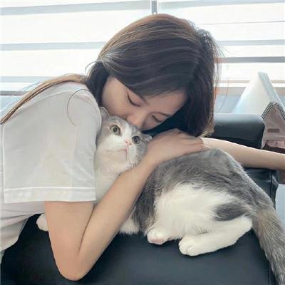 狗仔队